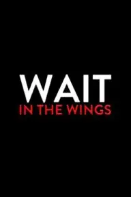 Wait in the Wings_peliplat
