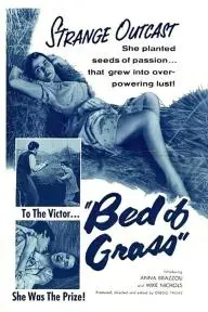 Bed of Grass_peliplat