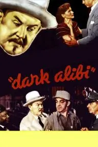 Dark Alibi_peliplat