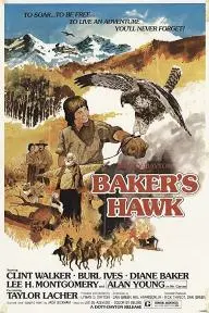 Baker's Hawk_peliplat