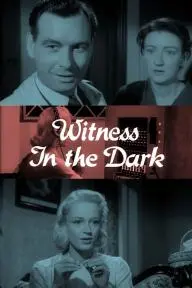 Witness in the Dark_peliplat
