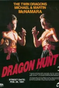Dragon Hunt_peliplat