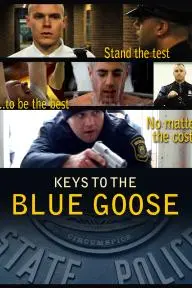 The Blue Goose: MSP_peliplat