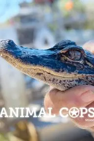 Animal Cops: Miami_peliplat