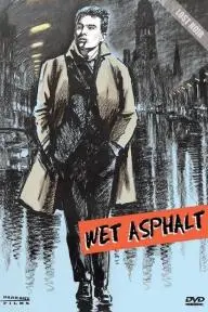 Wet Asphalt_peliplat