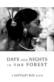 Days and Nights in the Forest_peliplat