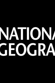 National Geographic Investigates_peliplat