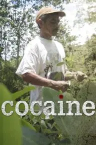 Cocaine_peliplat