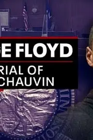 NewsNOW from FOX: Derek Chauvin Trial_peliplat