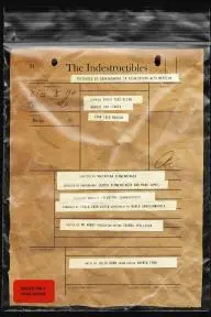 The Indestructibles_peliplat