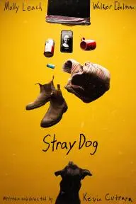 Stray Dog_peliplat