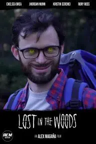 Lost in the Woods_peliplat