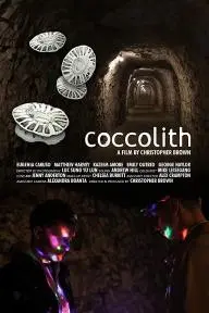 coccolith_peliplat