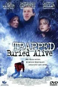 Trapped: Buried Alive_peliplat