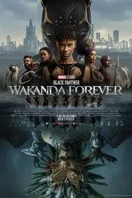 Pantera Negra: Wakanda por siempre_peliplat