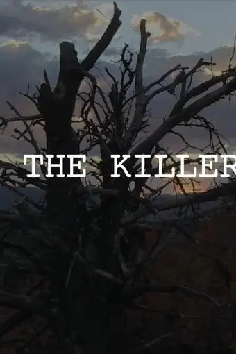 Through the Killers' Eyes_peliplat