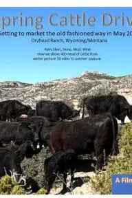 Spring Cattle Drive_peliplat