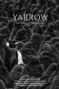 Yarrow: The Virtues of Monochrome_peliplat