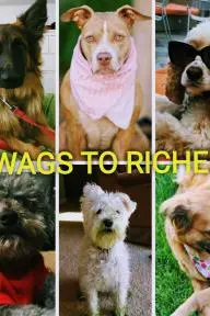 Wags to Riches_peliplat