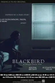 Blackbird_peliplat