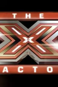 The X Factor Digital Experience_peliplat
