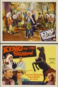 King of the Stallions_peliplat