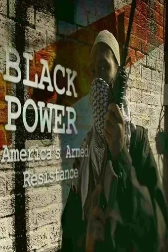 Black Power: America's Armed Resistance_peliplat