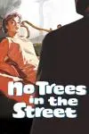 No Trees in the Street_peliplat