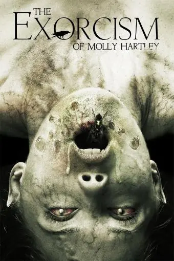 The Exorcism of Molly Hartley_peliplat