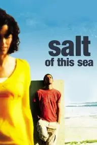 Salt of This Sea_peliplat