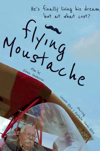 Flying Moustache_peliplat