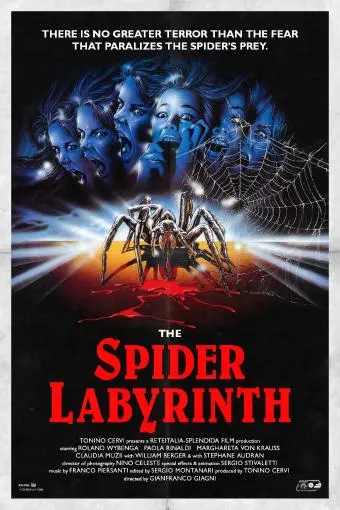 The Spider Labyrinth_peliplat
