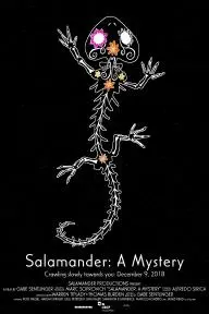 Salamander: A Mystery_peliplat
