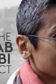 The Zainab Salbi Project_peliplat