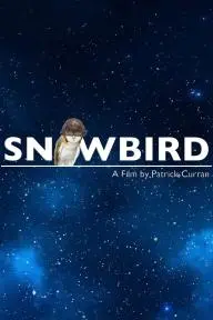 Snowbird_peliplat