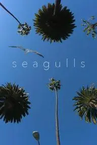 Seagulls_peliplat