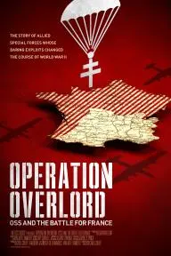 Operation Overlord: OSS and the Battle for France_peliplat