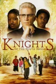 Knights of the South Bronx_peliplat