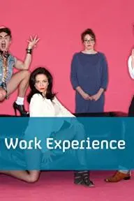 The Work Experience_peliplat