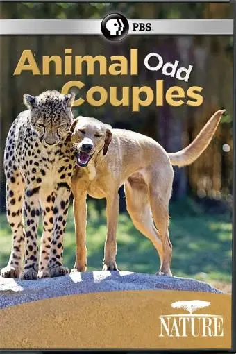 Animal Odd Couples_peliplat