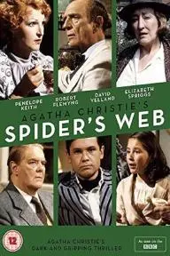 Spider's Web_peliplat