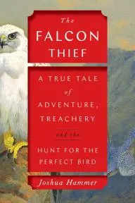 The Falcon Thief_peliplat