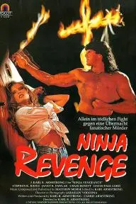 Ninja Vengeance_peliplat