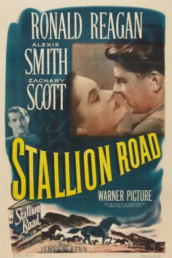 Stallion Road_peliplat