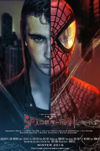 The Web of Spider-Man_peliplat