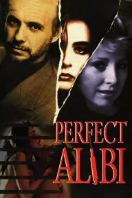 Perfect Alibi_peliplat