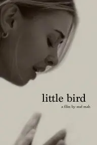 Little Bird_peliplat