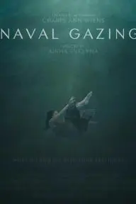 Naval Gazing_peliplat