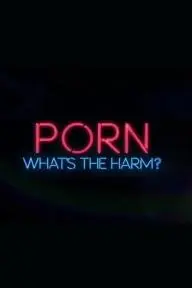 Porn: What's the Harm?_peliplat