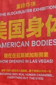 American Bodies_peliplat